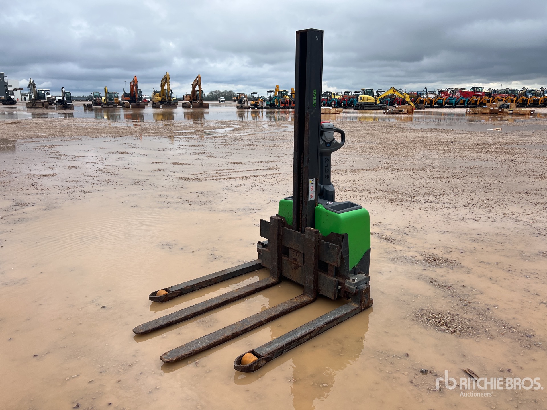 General Appearance with