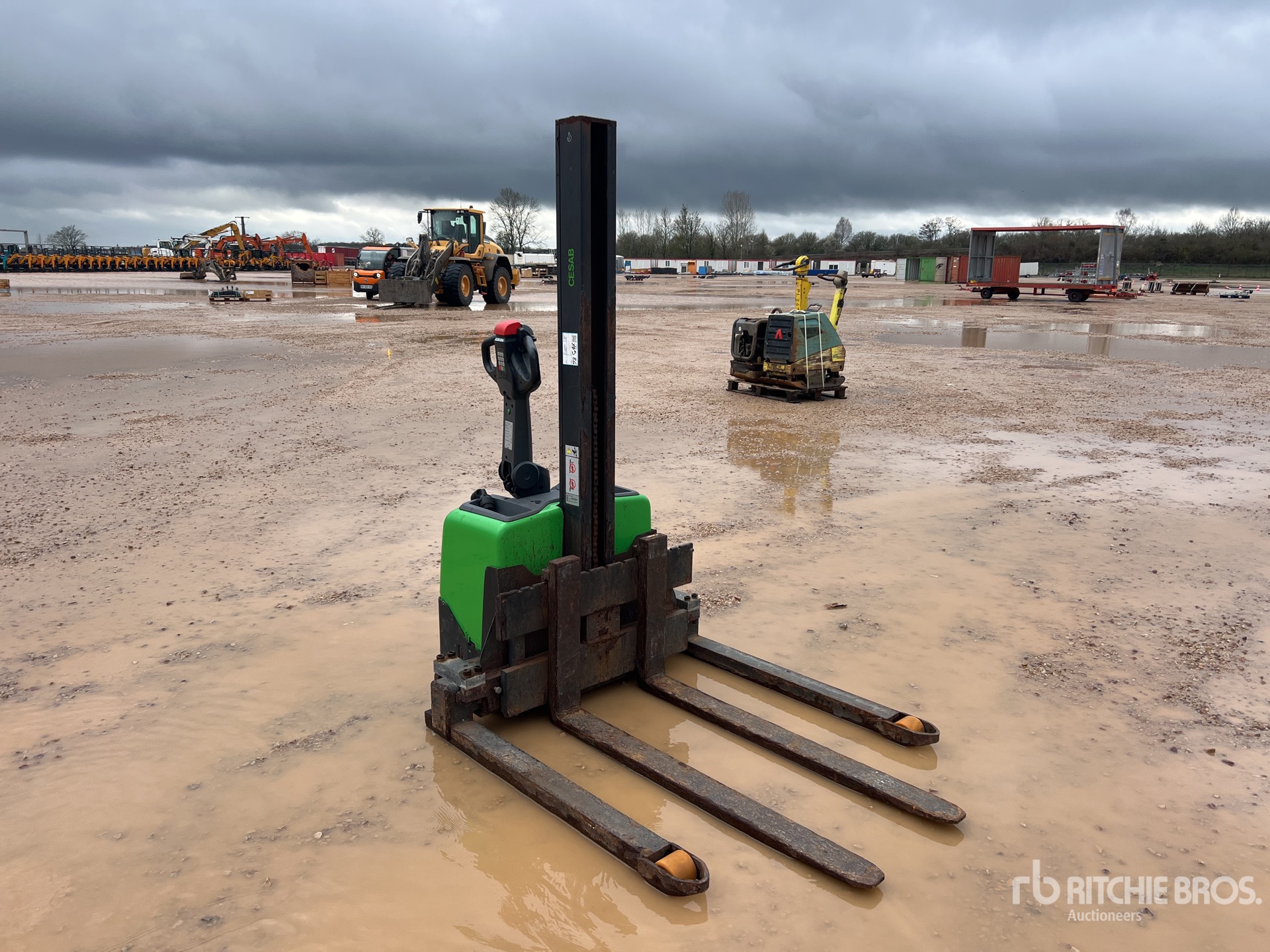 General Appearance with