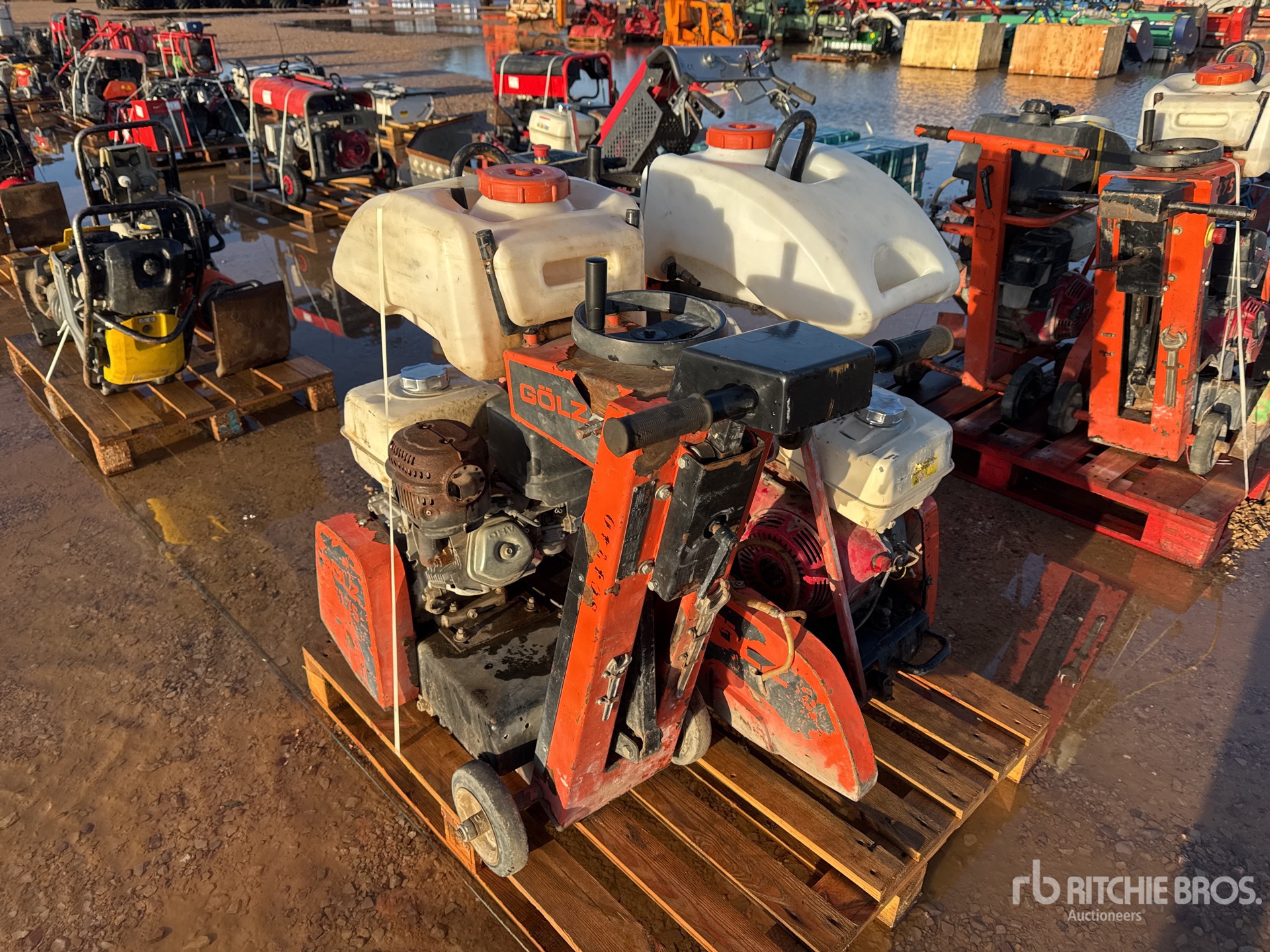 General Appearance with