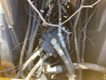 Hydraulics with Swing Motor