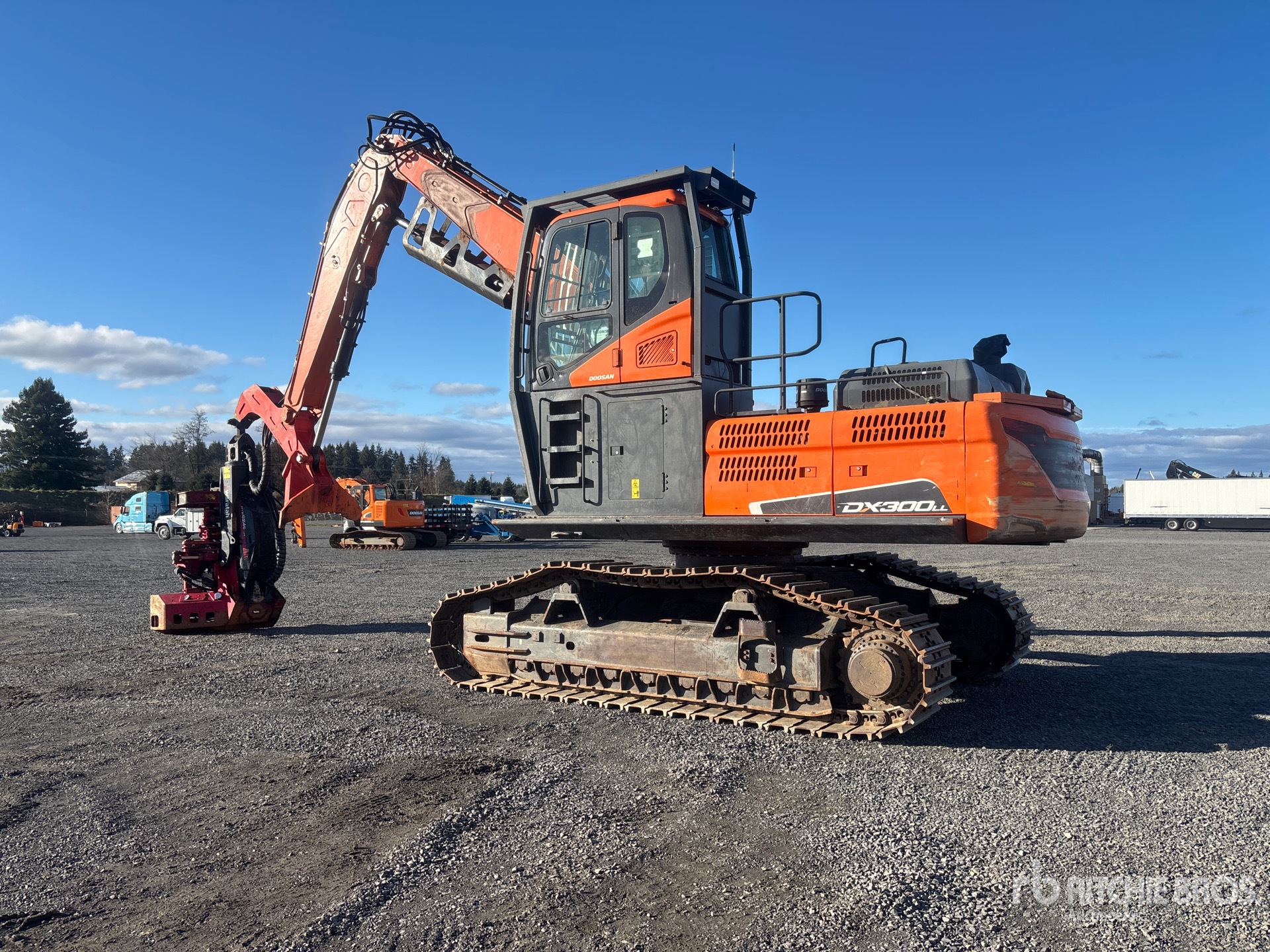 General Appearance with Zdjęcie, lewy dolny róg