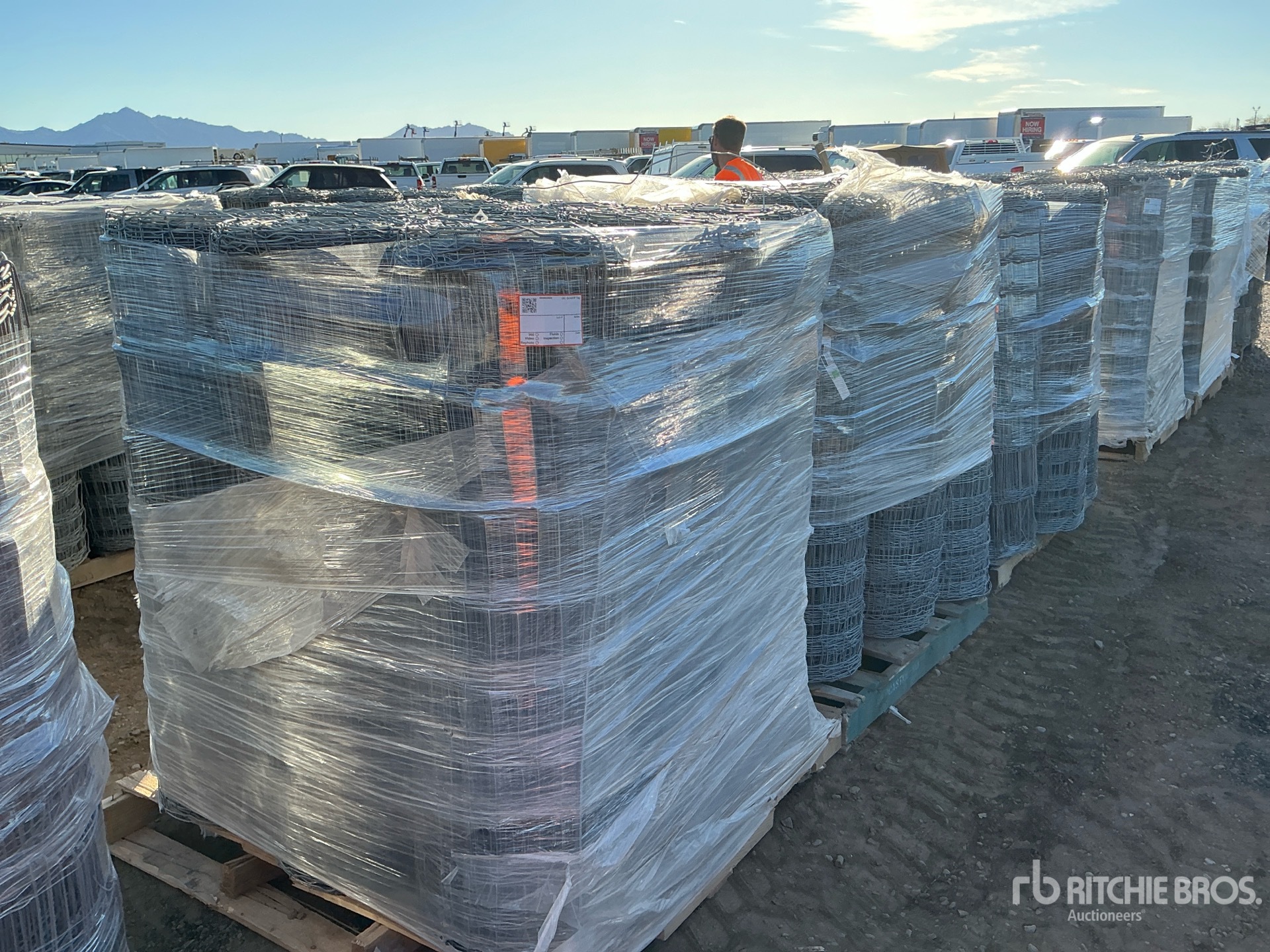 General Appearance with Image, coin avant gauche