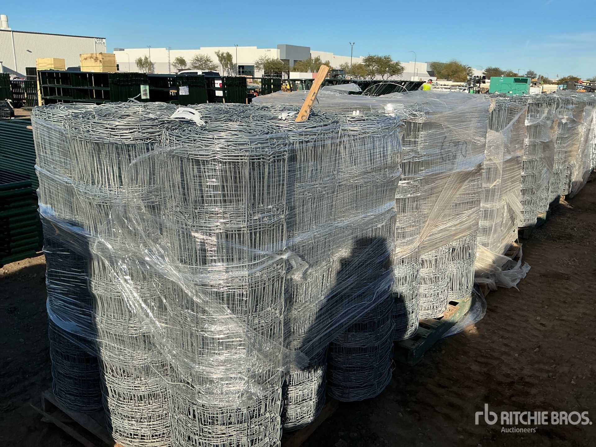 General Appearance with Image, coin arrière droit