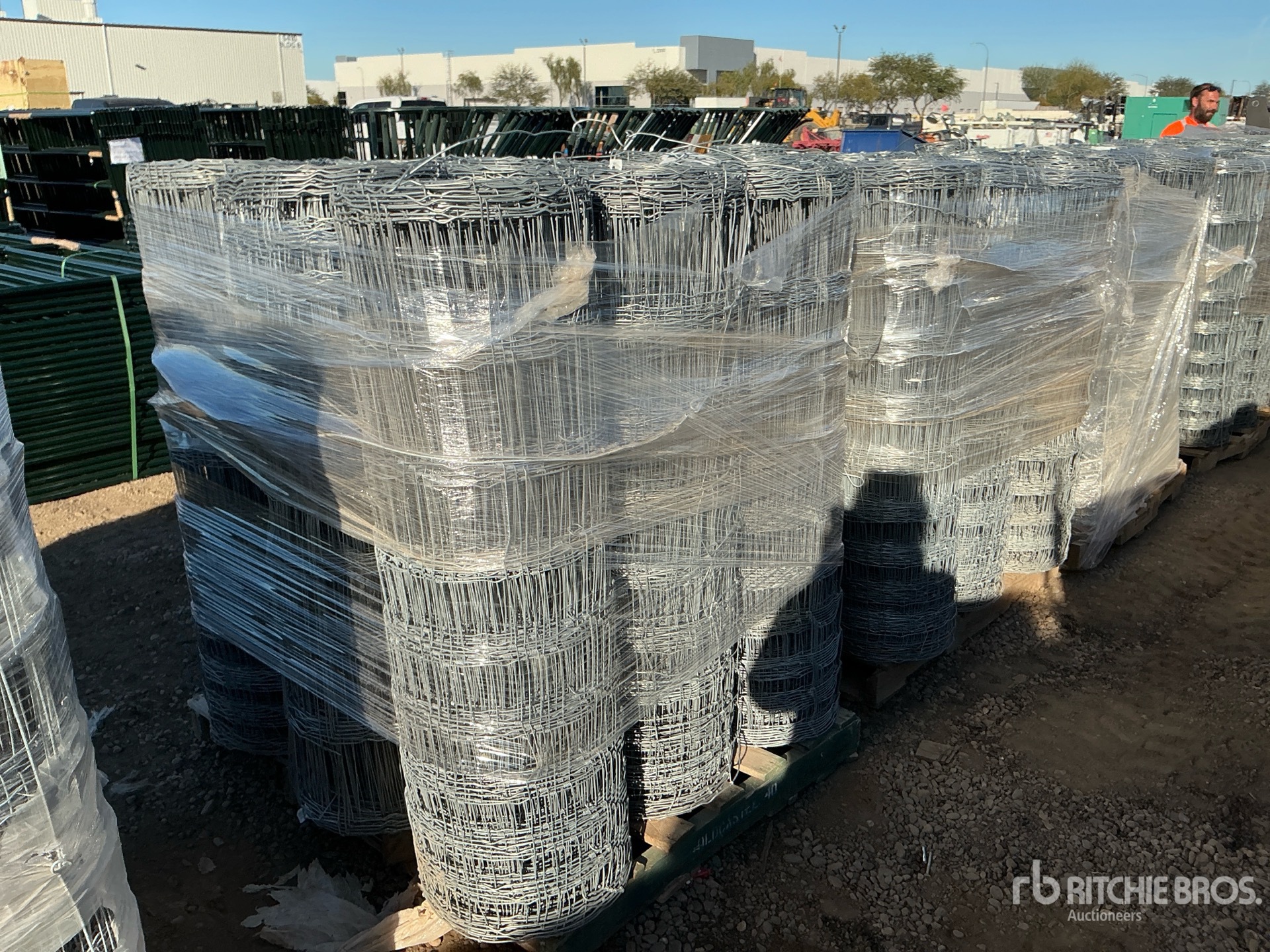 General Appearance with Image, coin arrière droit