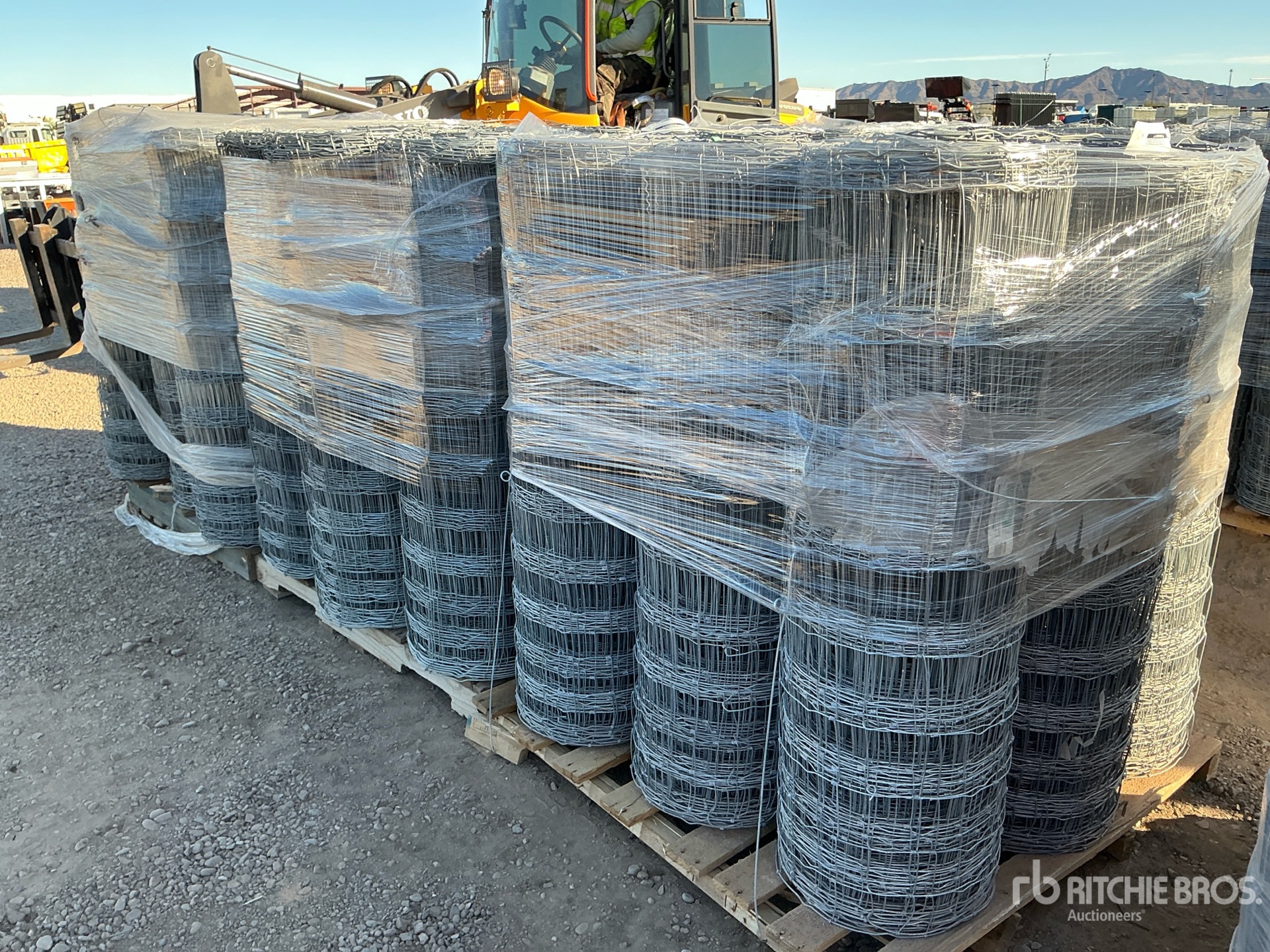 General Appearance with Image, coin arrière gauche