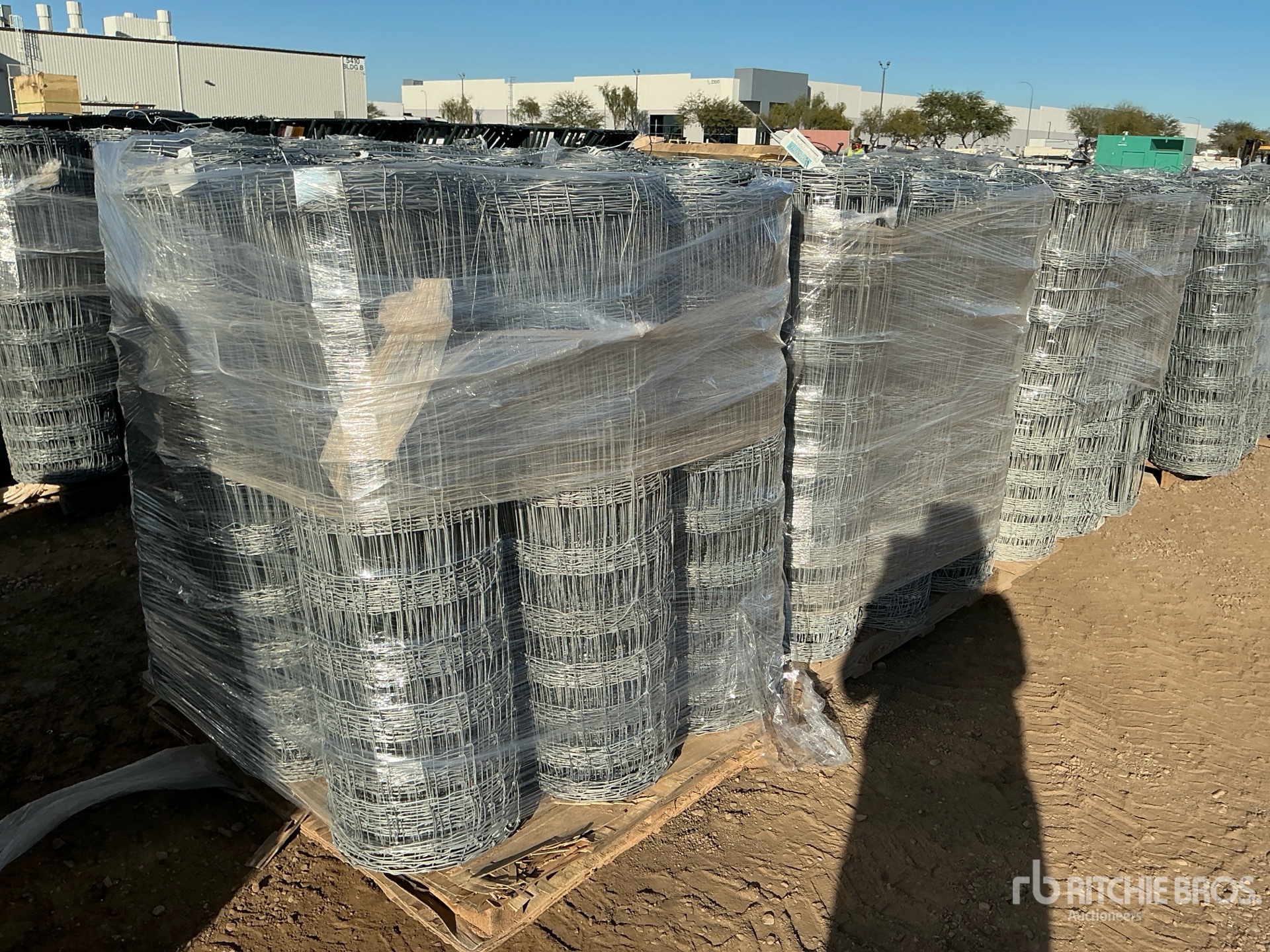 General Appearance with Image, coin arrière droit