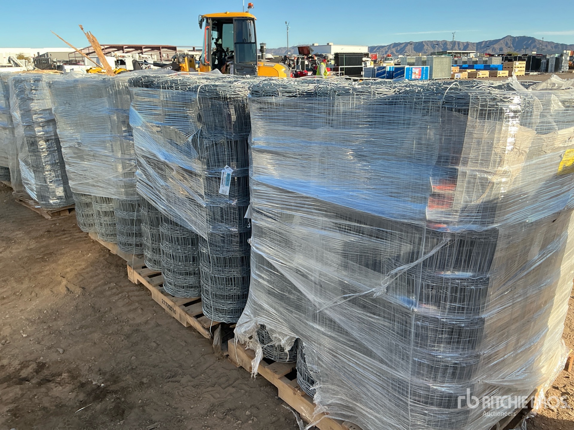 General Appearance with Image, coin arrière gauche