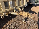 Chassis with Tongue/ Hitch Condition