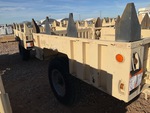 General Appearance with Paint