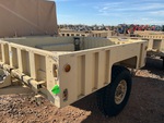 General Appearance with Paint
