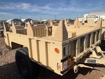 General Appearance with Paint