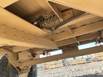 Trailer Chassis with Lights/Wiring Condition