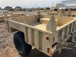 General Appearance with Paint