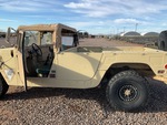 General Appearance with Paint