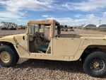 General Appearance with Paint