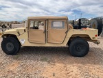 General Appearance with Paint