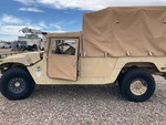 General Appearance with Paint