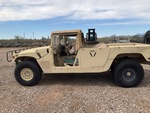 General Appearance with Paint