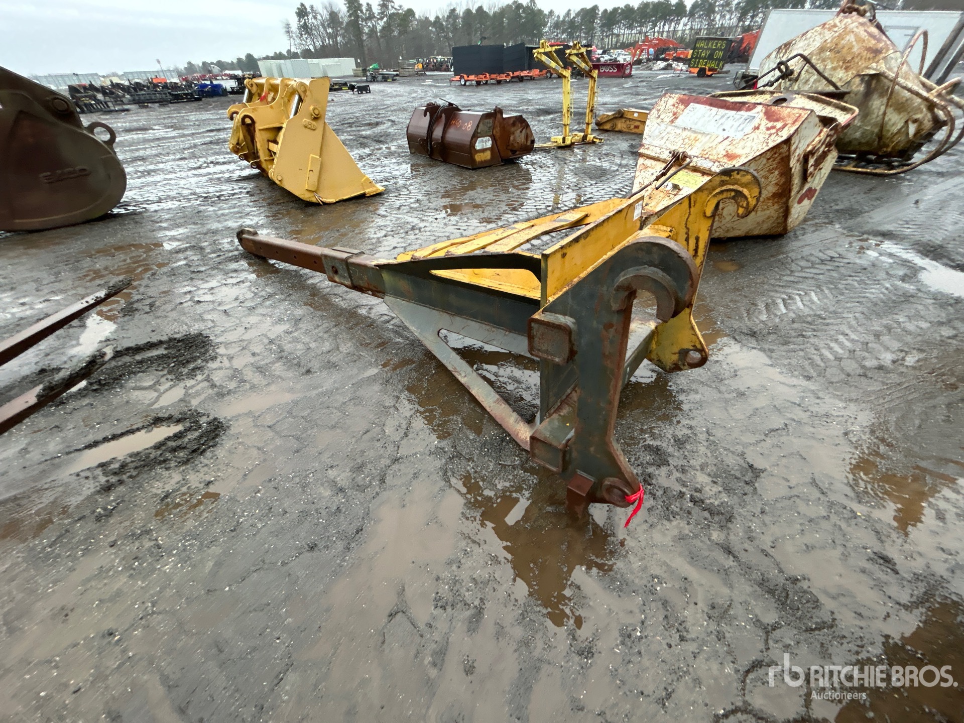 General Appearance with Zdjęcie, lewy dolny róg