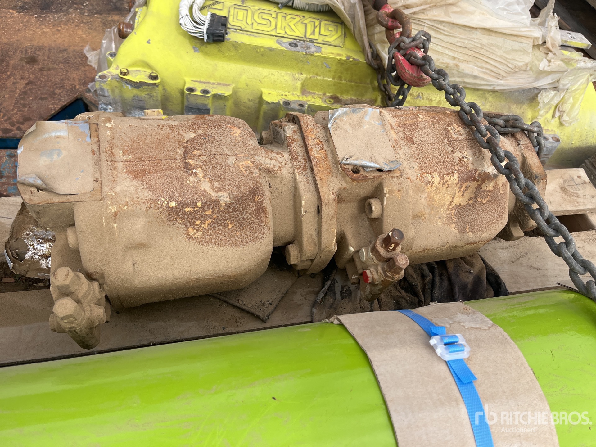 General Appearance with