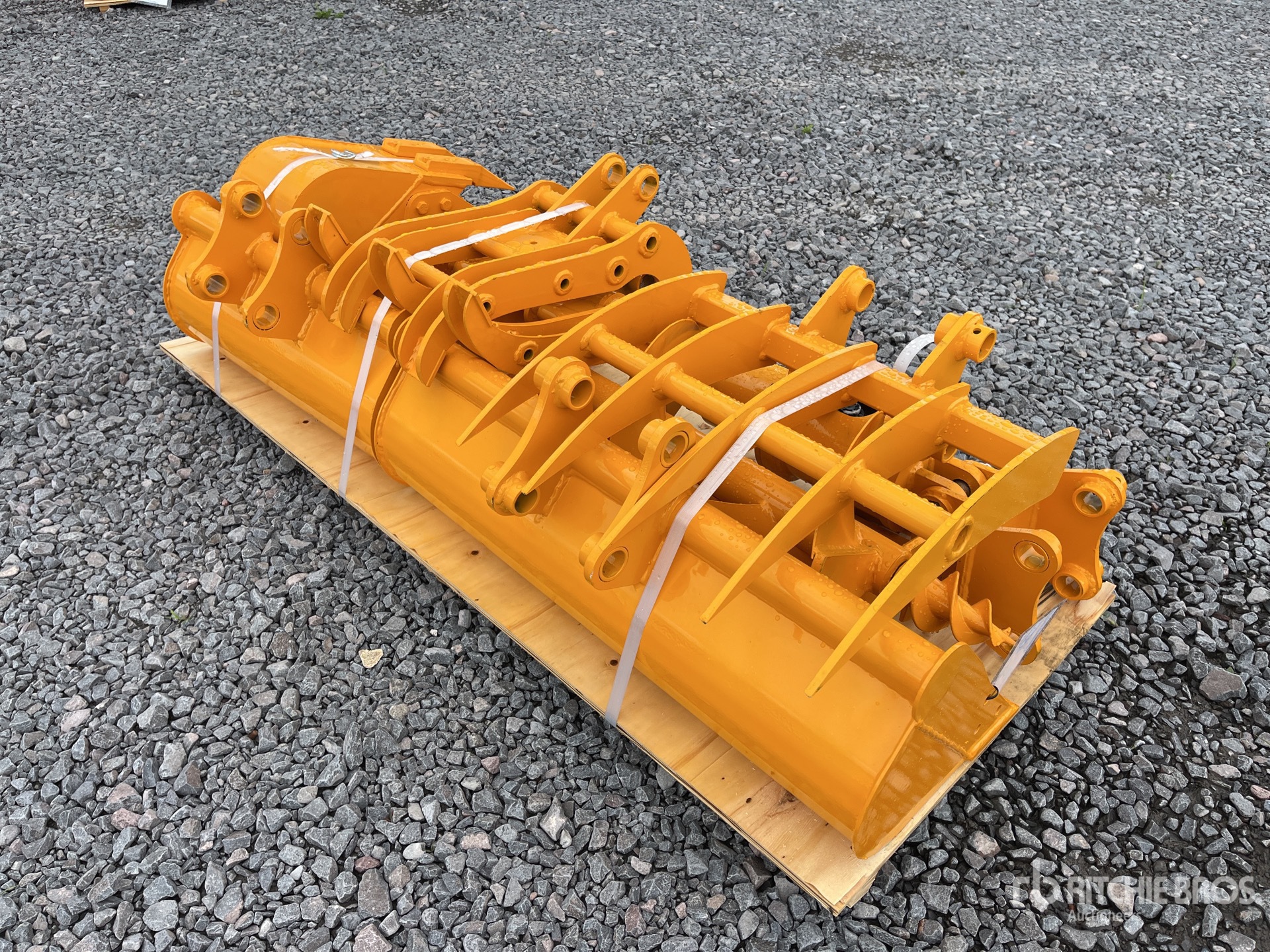 General Appearance with Zdjęcie, prawy górny róg