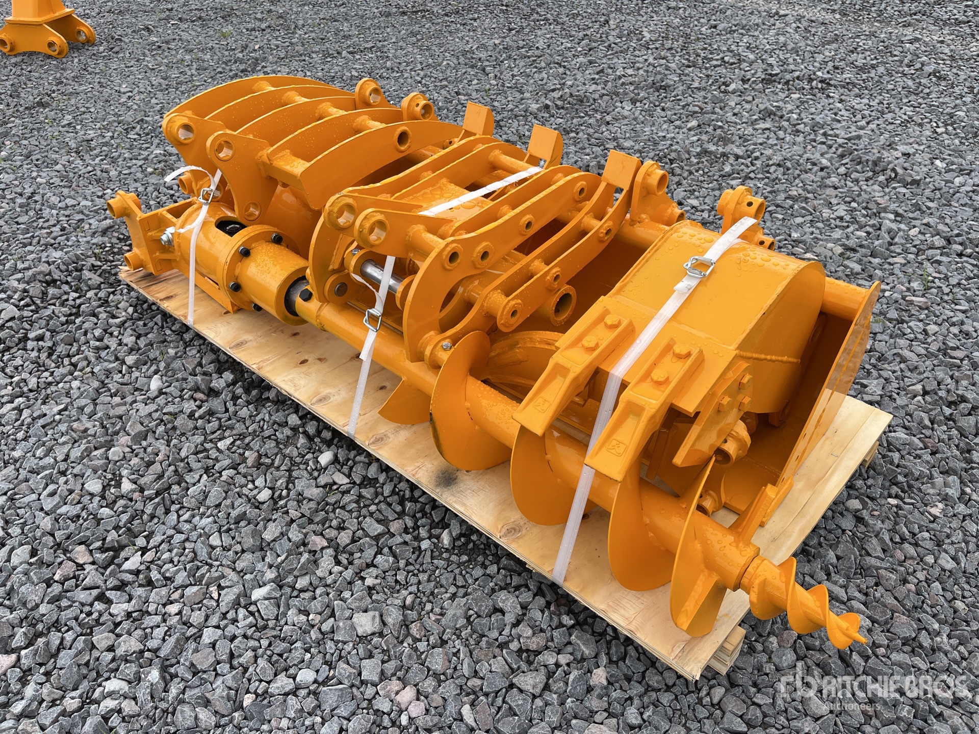 General Appearance with Zdjęcie, lewy dolny róg