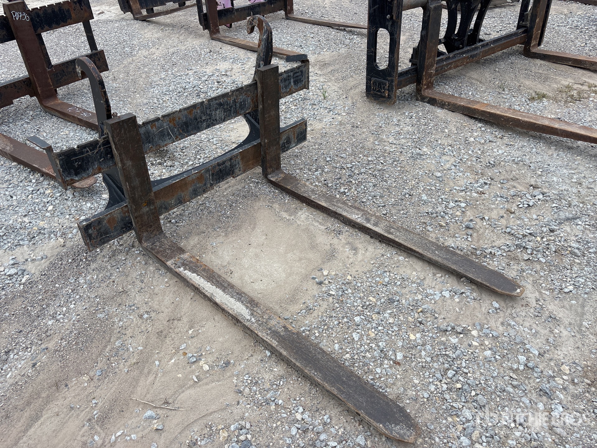 General Appearance with Zdjęcie, prawy górny róg