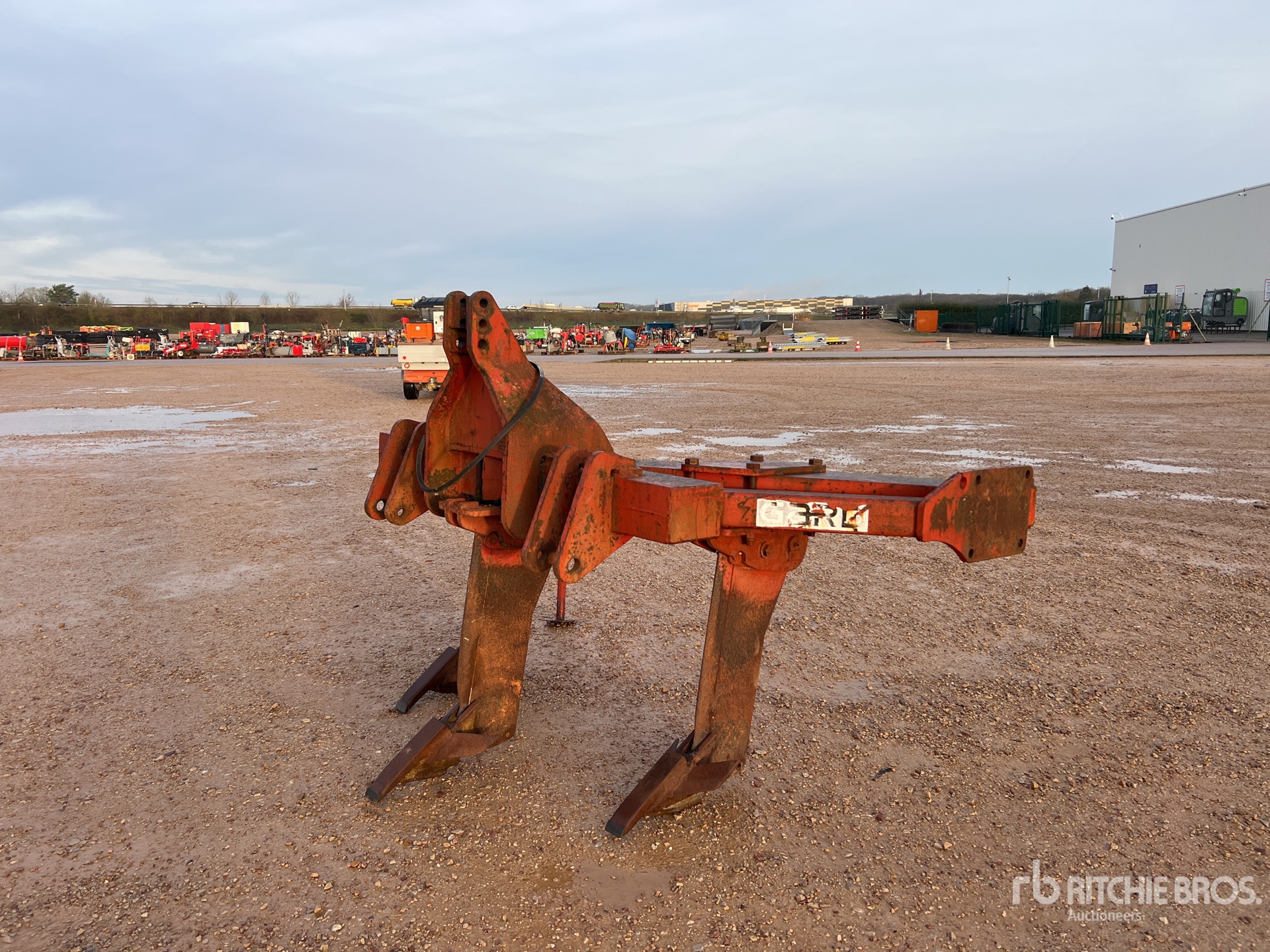 General Appearance with