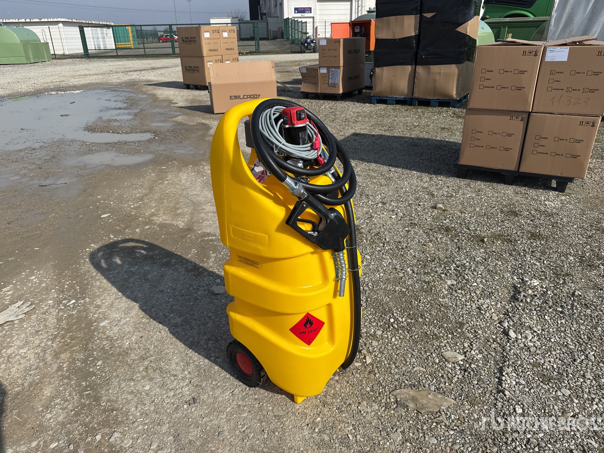 General Appearance with