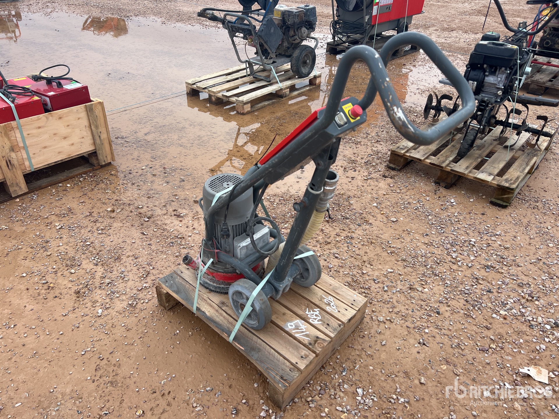 General Appearance with