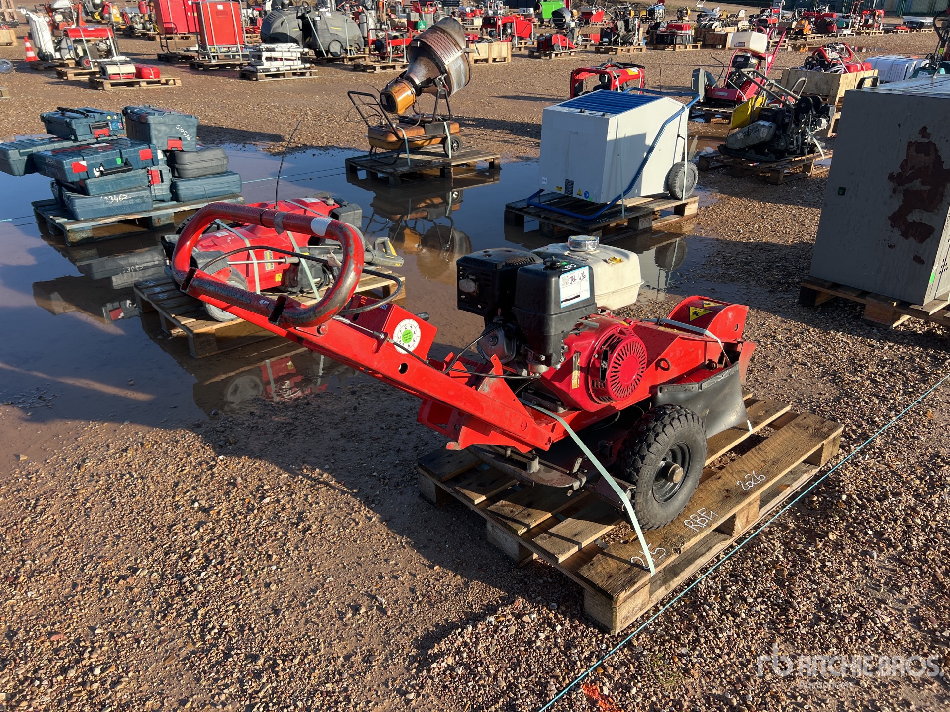 General Appearance with