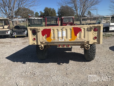 General Appearance with Paint