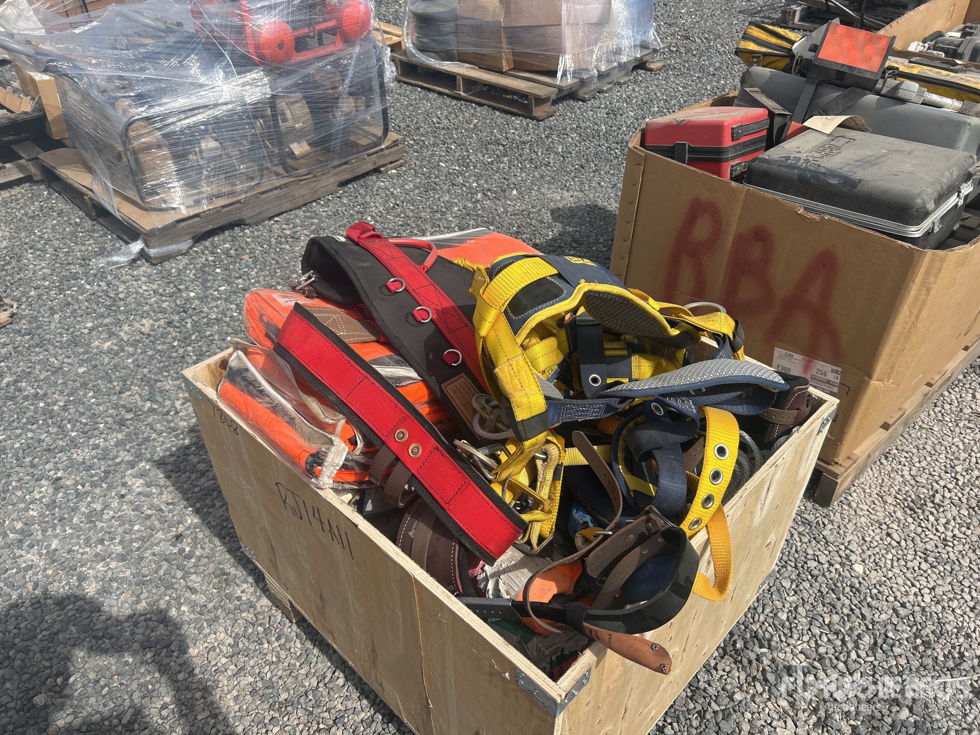 General Appearance with Image, coin arrière droit