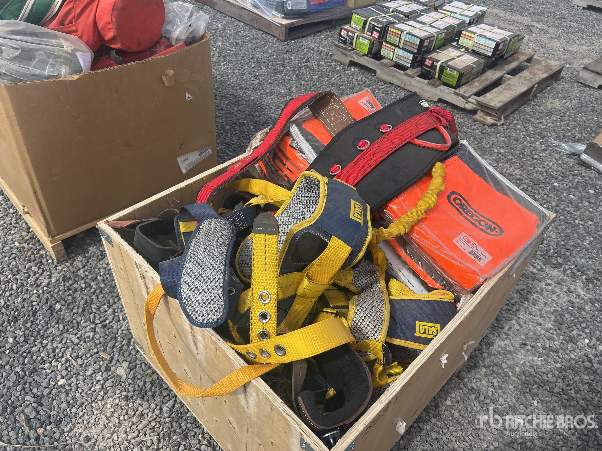 General Appearance with Image, coin avant droit