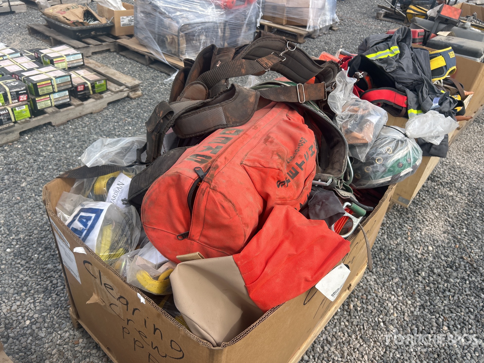 General Appearance with Image, coin arrière droit