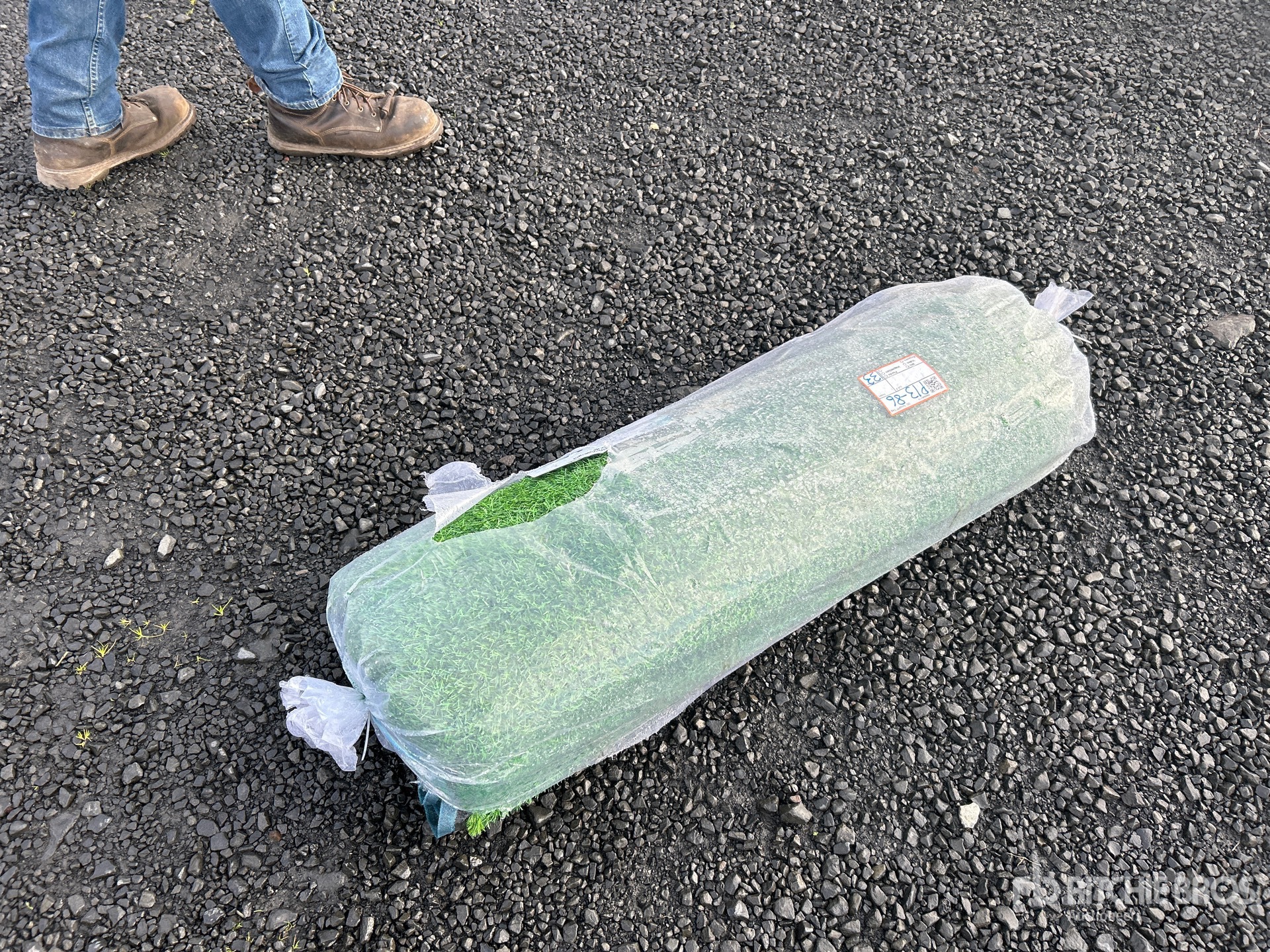 Aspect général with Image, coin arrière gauche