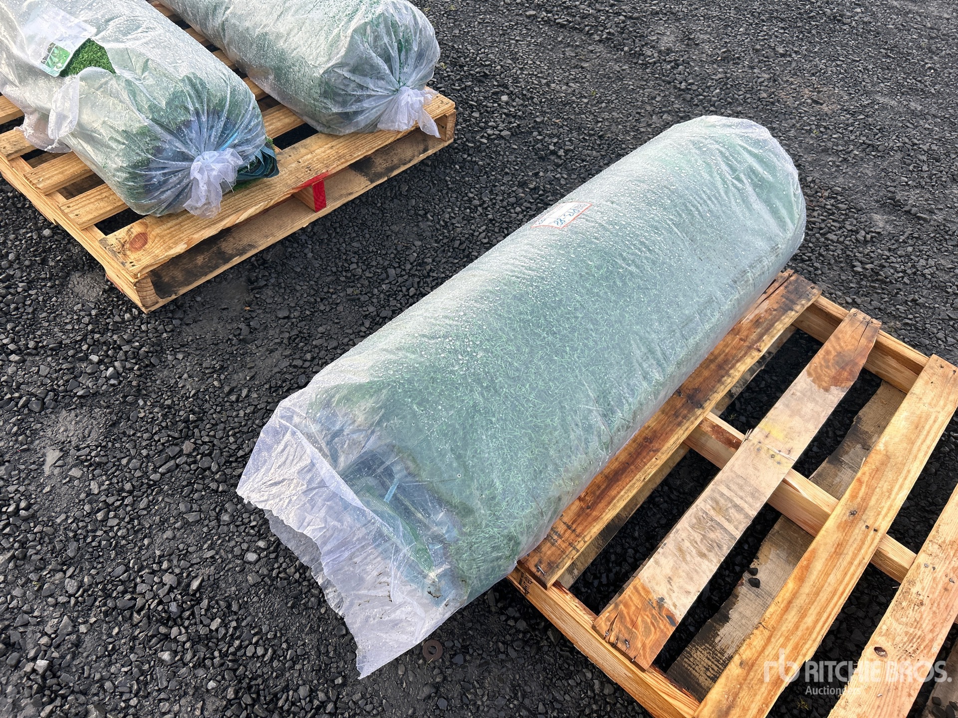 Aspect général with Image, coin arrière gauche