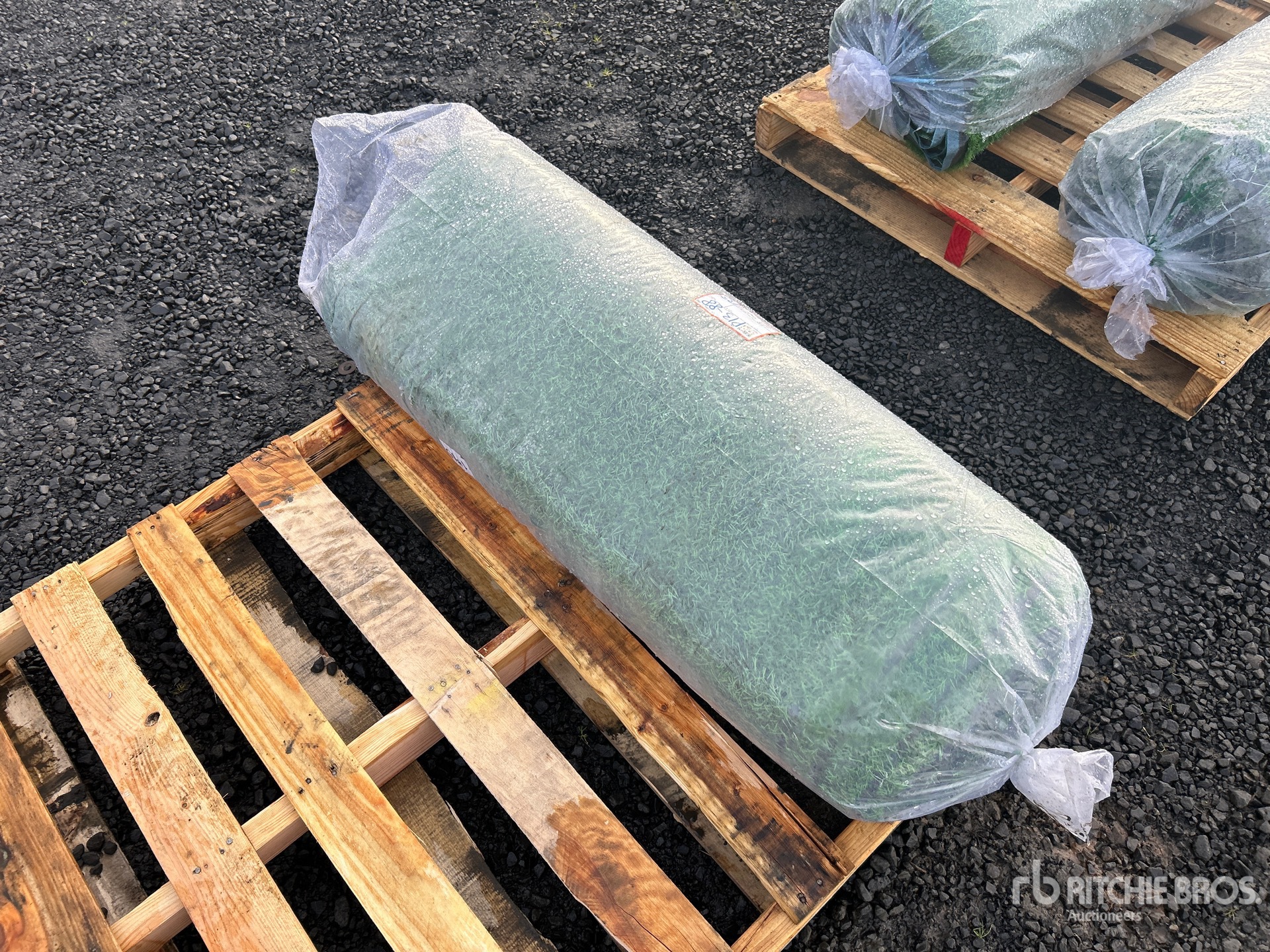 Aspect général with Image, coin arrière droit