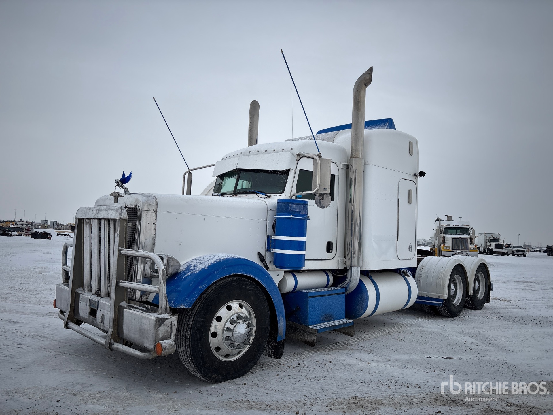 General Appearance with Spin