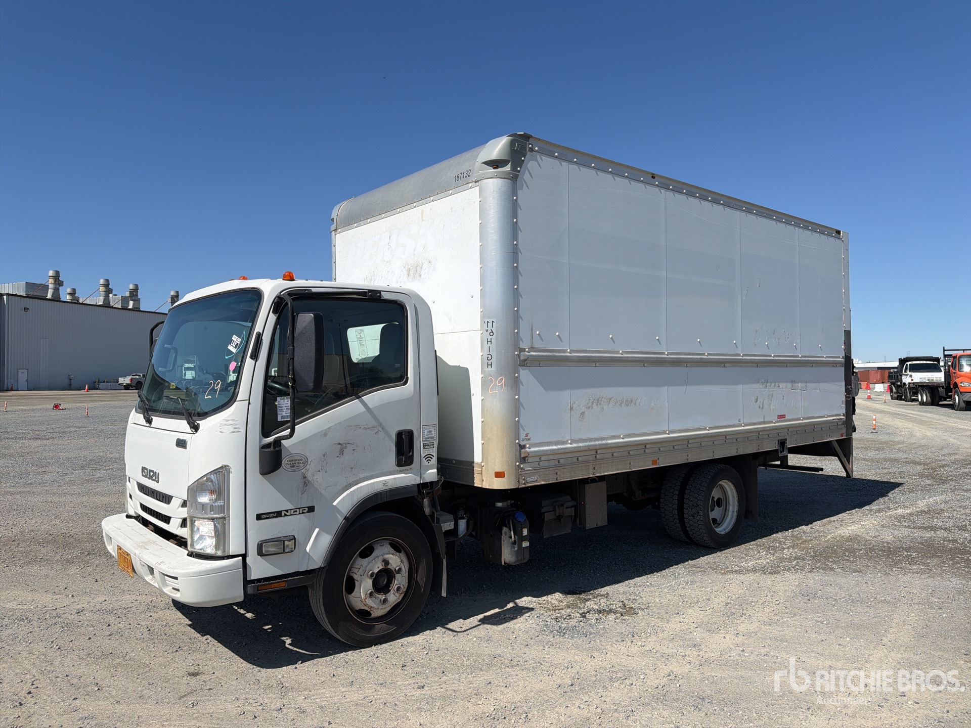 General Appearance with Spin