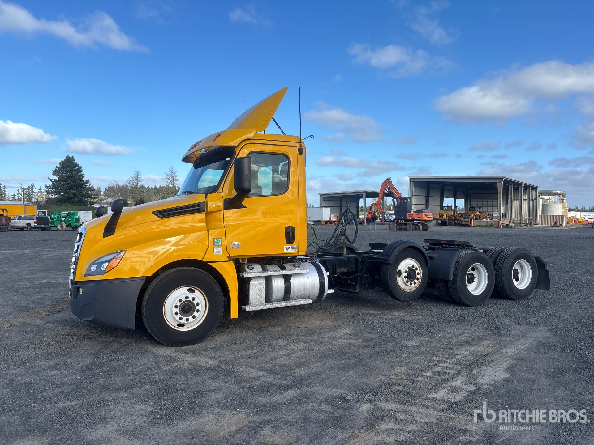 General Appearance with Spin