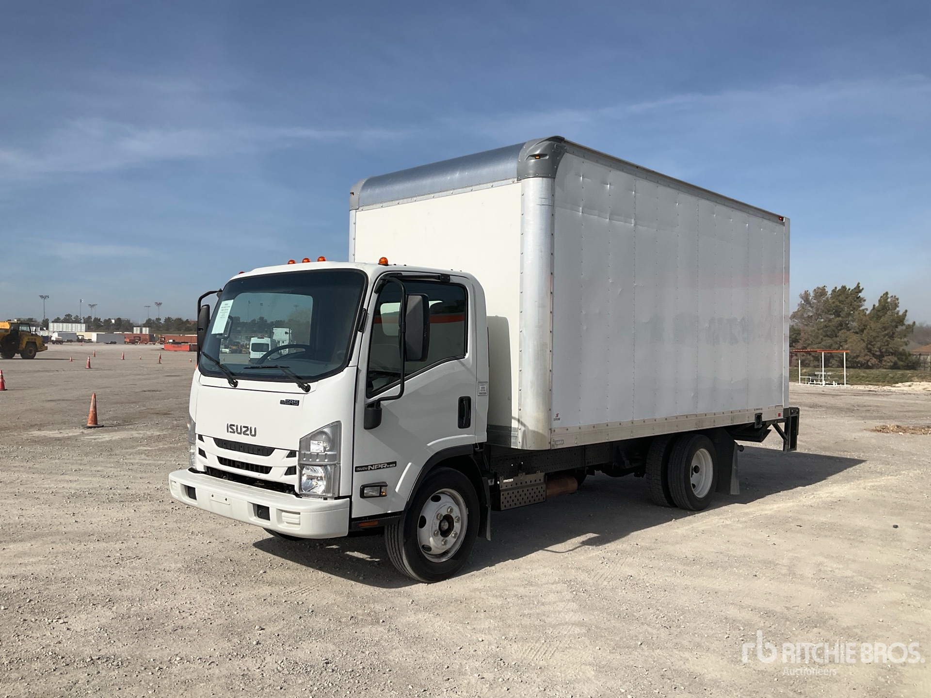 General Appearance with Spin