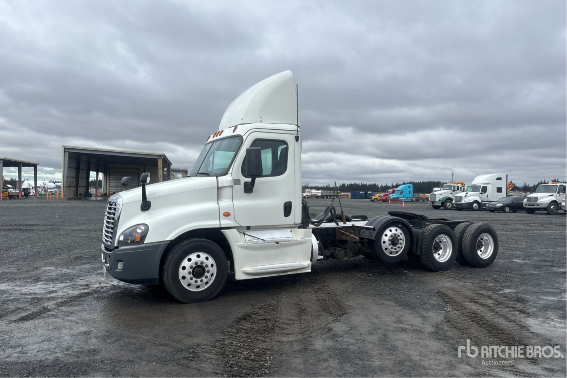 General Appearance with Spin