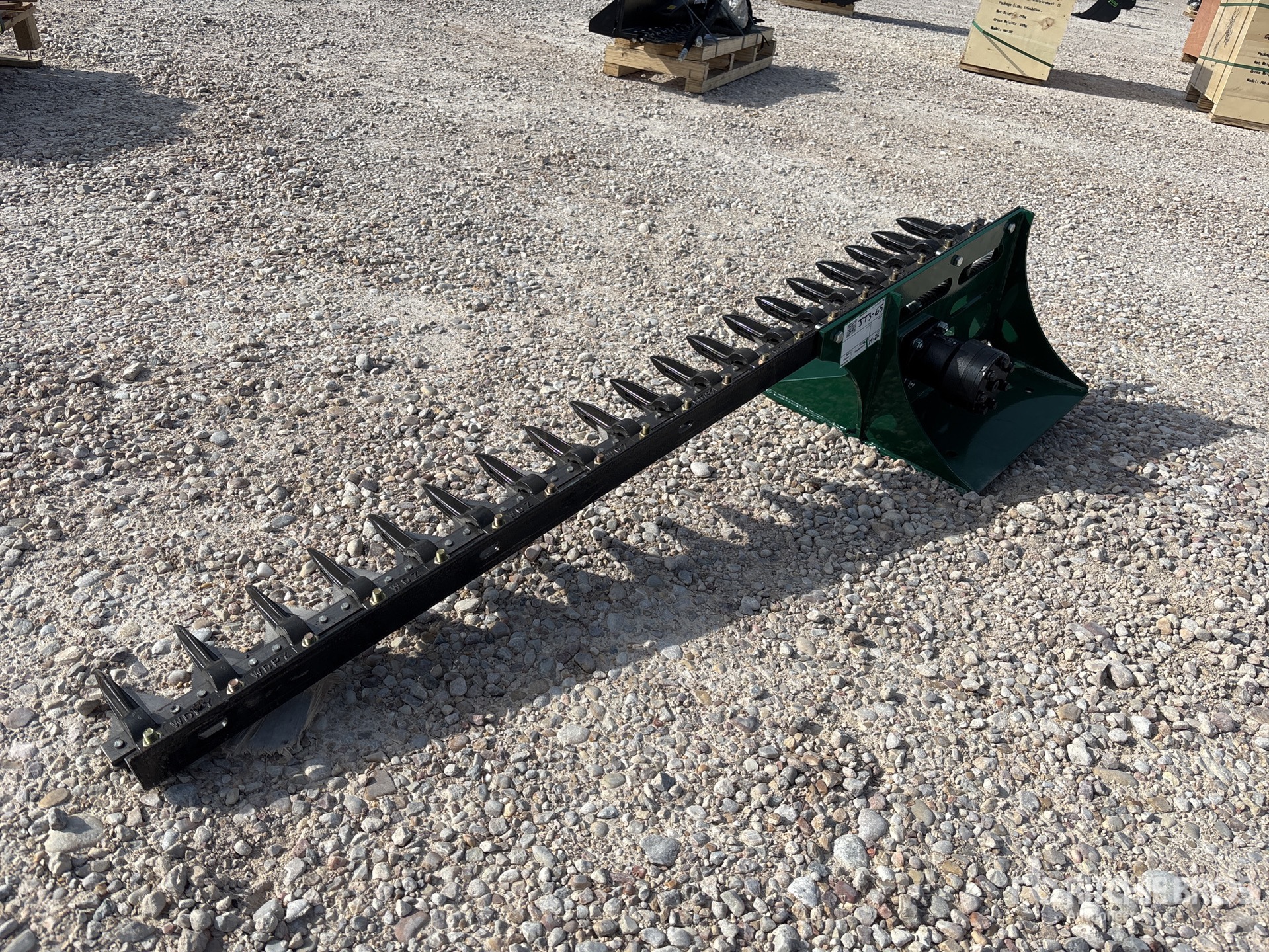 General Appearance with Bild, Ecke vorne links