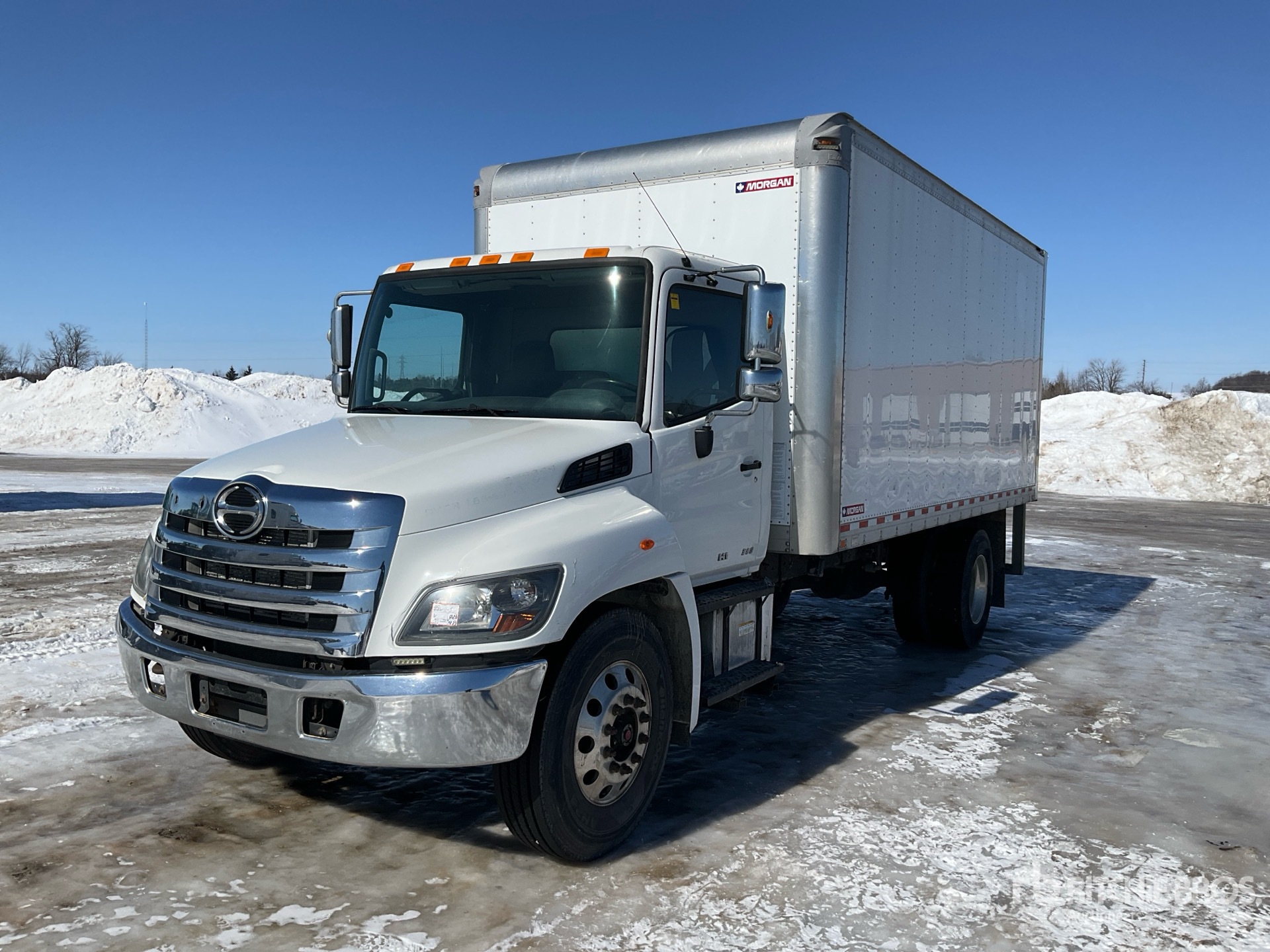 General Appearance with Spin