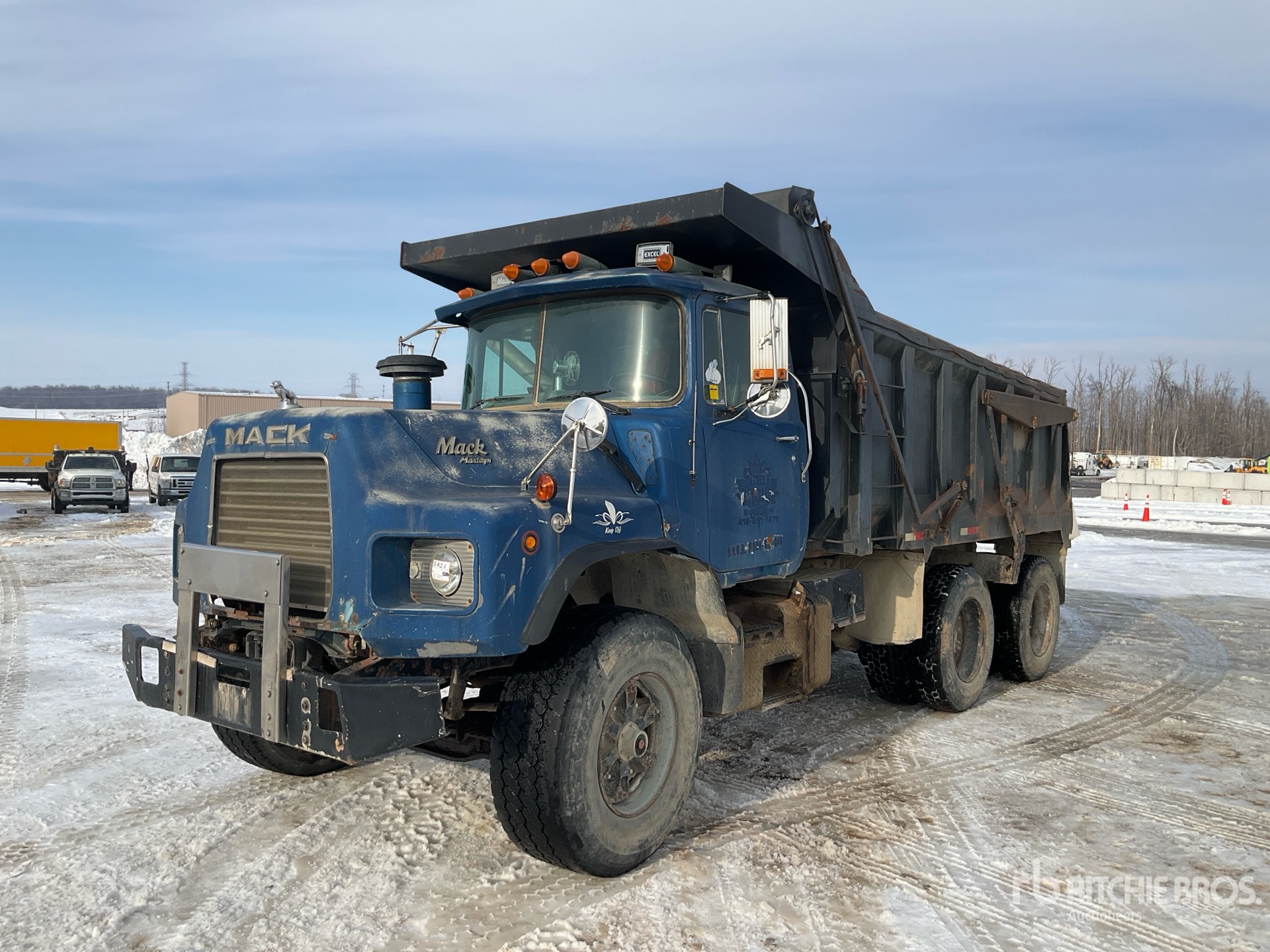 General Appearance with Spin