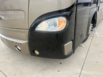 General Appearance with Paint