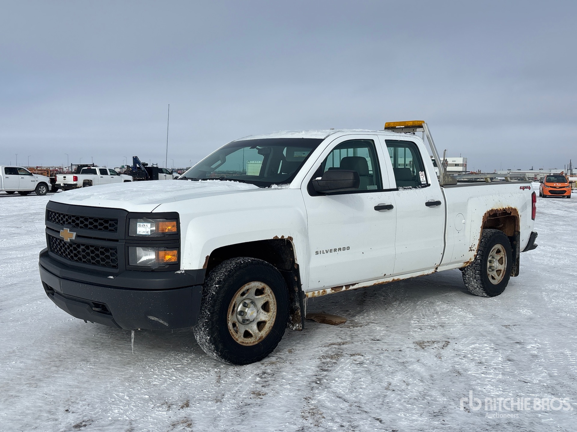 General Appearance with Spin