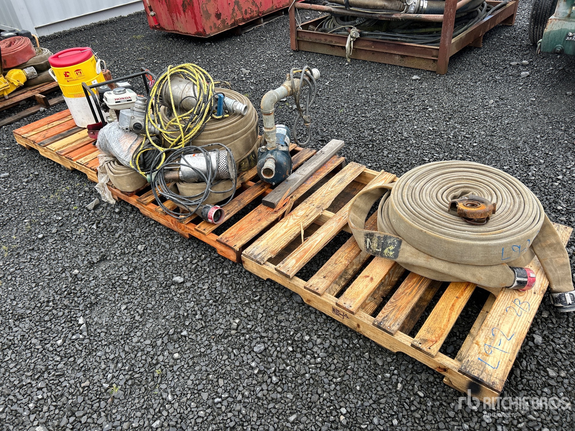 General Appearance with Zdjęcie, lewy górny róg