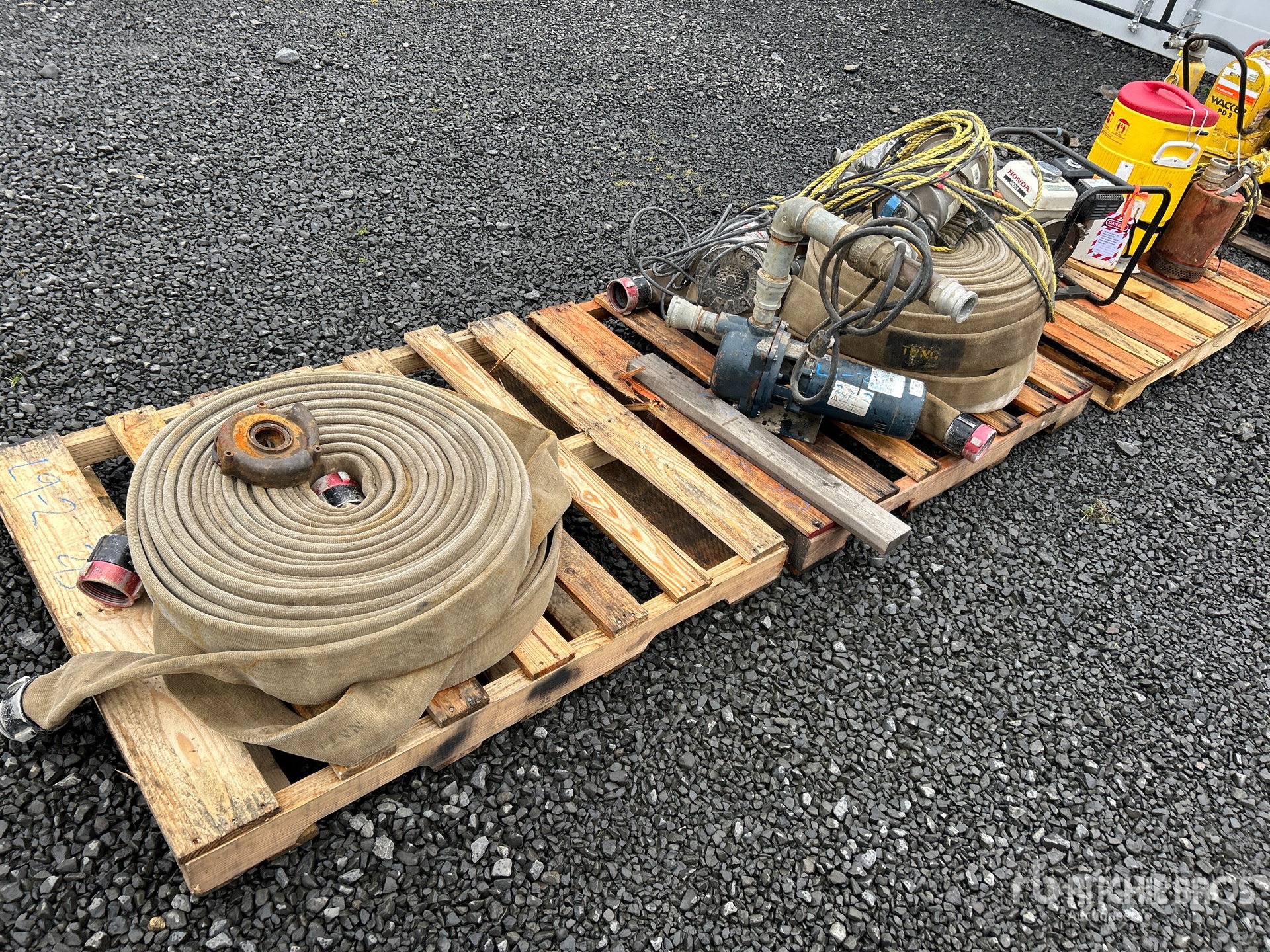 General Appearance with Zdjęcie, prawy górny róg